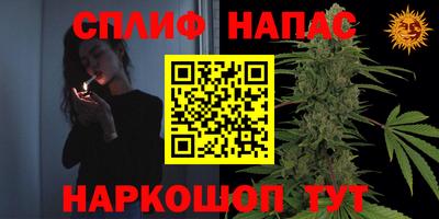 прущие грибы Чебаркуль
