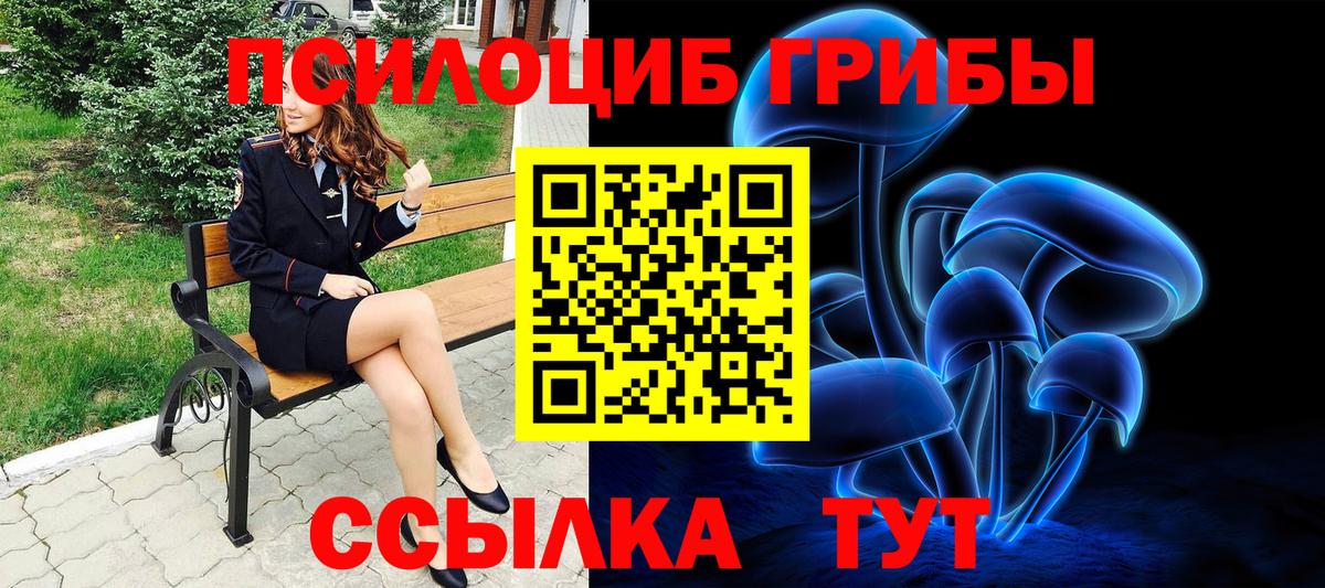 Галлюциногенные грибы Magic Shrooms  Псилоцибиновые грибы Psilocybe  Вход с VPN  Кохма 